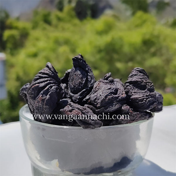 குடம்புளி / Kudampuli/ Malabar Tamarind