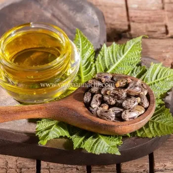 Castor oil/ஆமணக்கு எண்ணெய்/ விளக்கெண்ணெய்