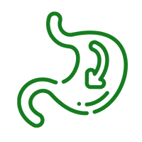 Natural Support for Healthy Digestion