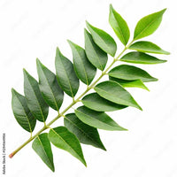 Curry Leaves