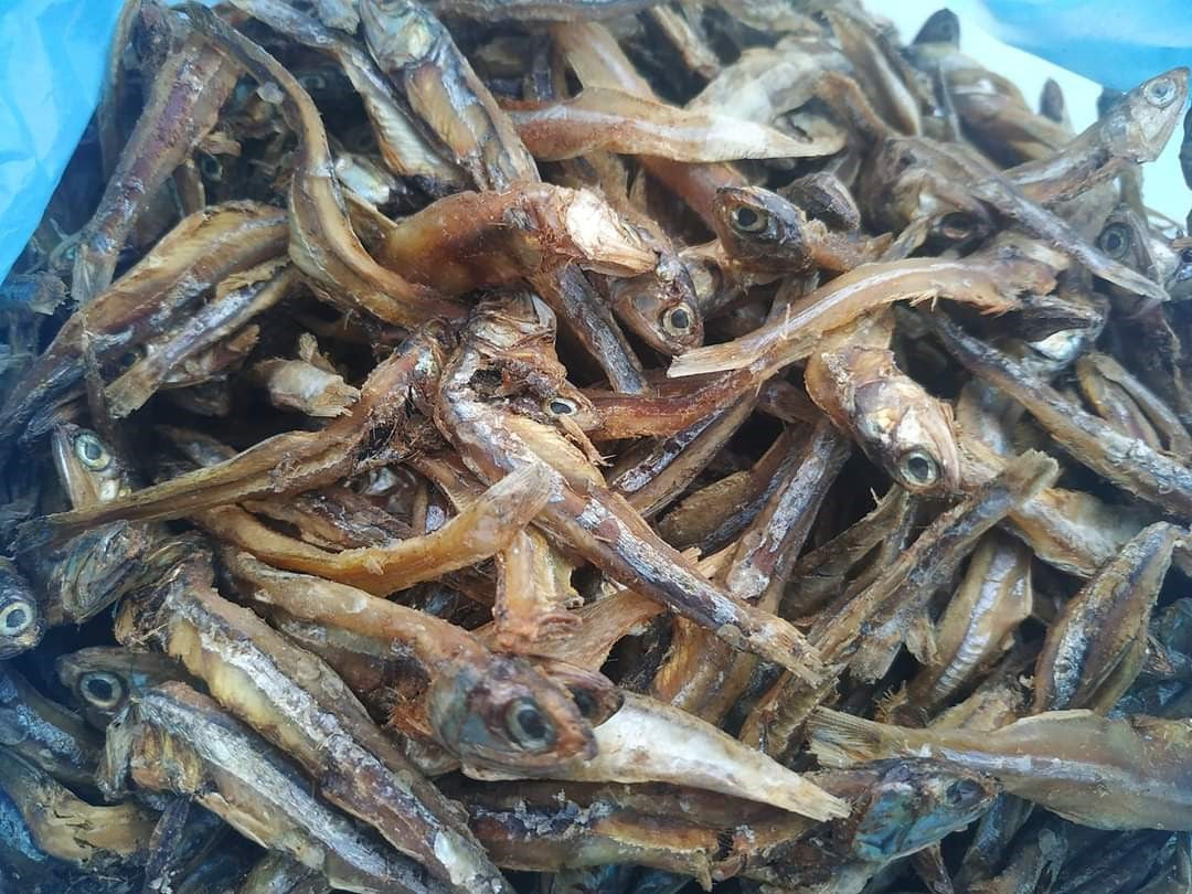 Nethili karuvadu/ நெத்திலி