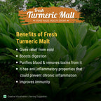 Fresh Turmeric Milk Mix -பசுமஞ்சள் மில்க் மிக்ஸ்