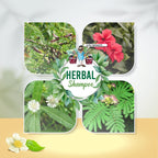 Herbal Shampoo ( Specially for Oily Scalp)