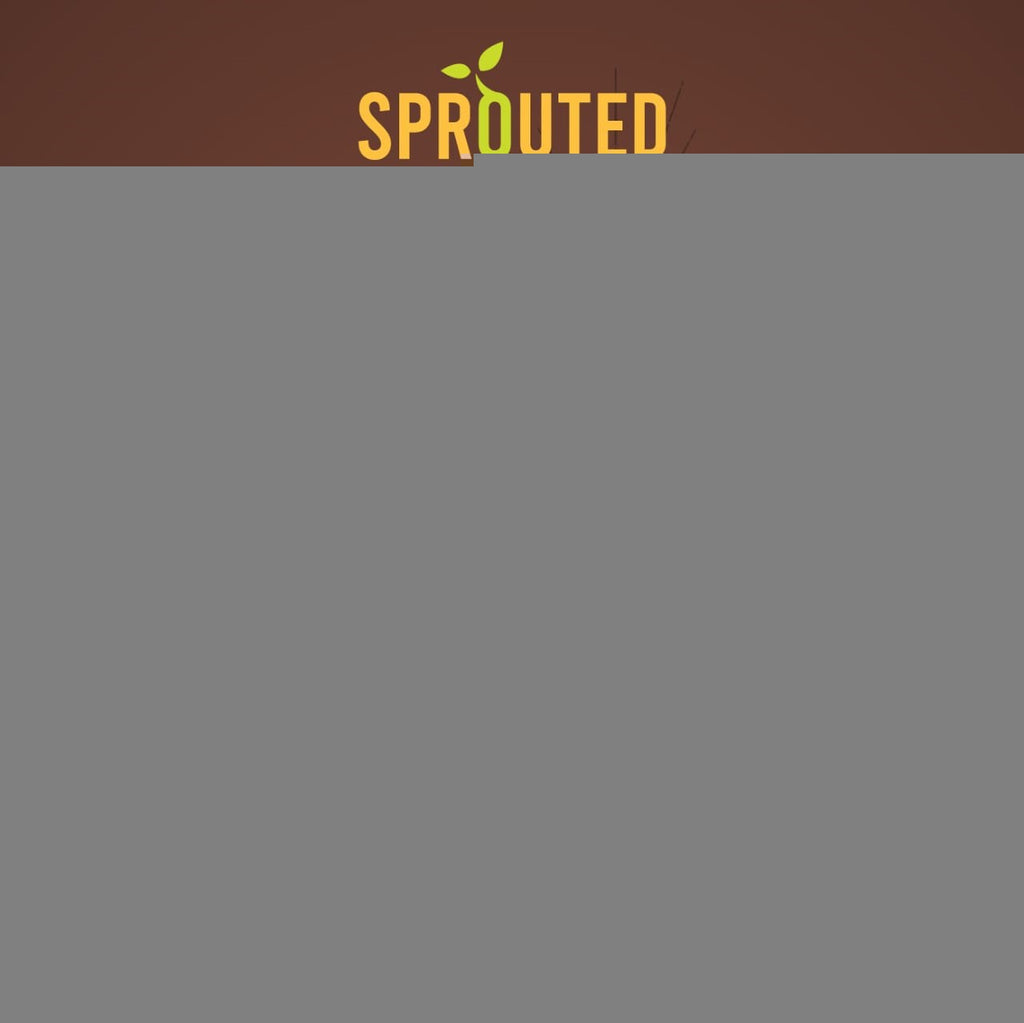 Sprouted Ragi Powder