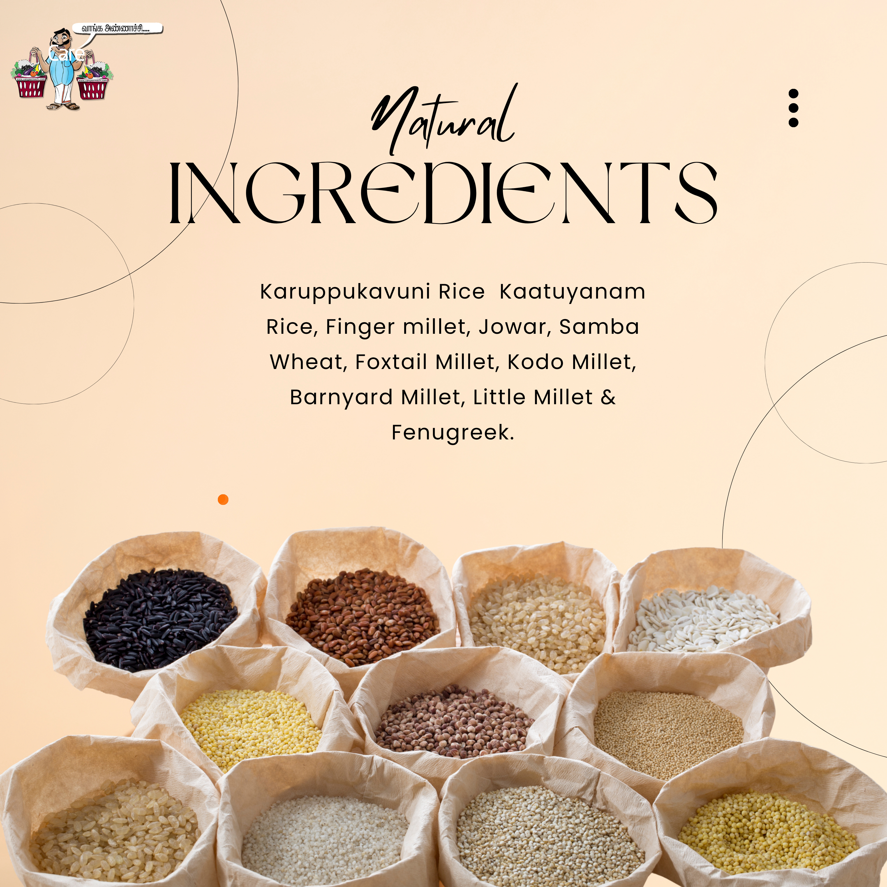 Diabetic Care Porridge Mix