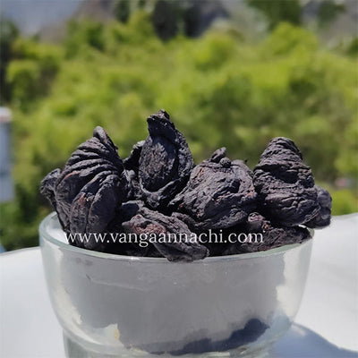 குடம்புளி / Kudampuli/ Malabar Tamarind